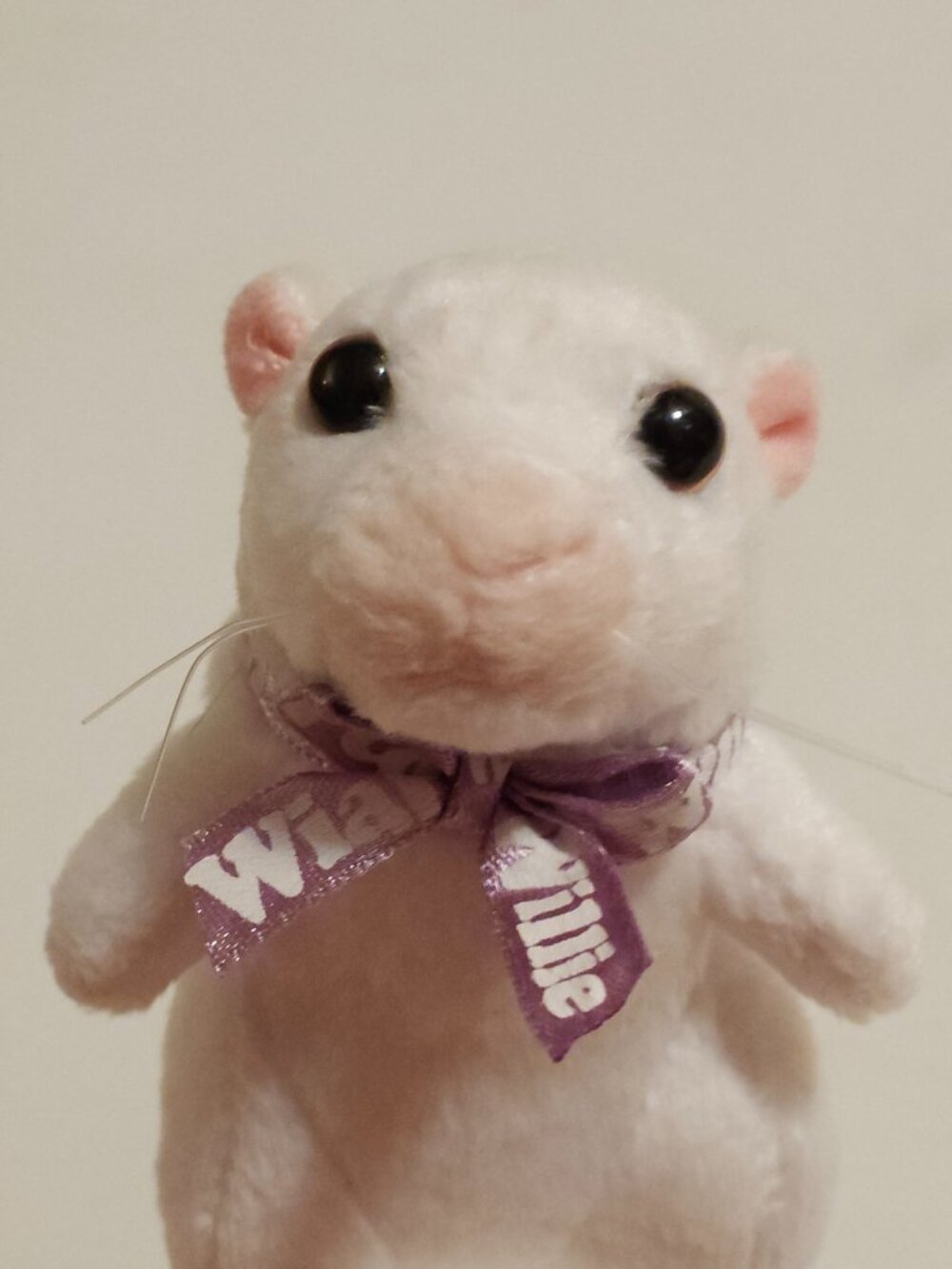 FUN Wiarton Willie Groundhog Plush Keychain Souvenir White